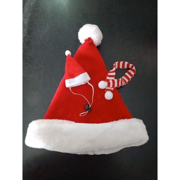 Reptile Snake Lizard Bunny Cat Hamster Santa Hat & Scarf + Kids Christmas - Picture 1 of 5